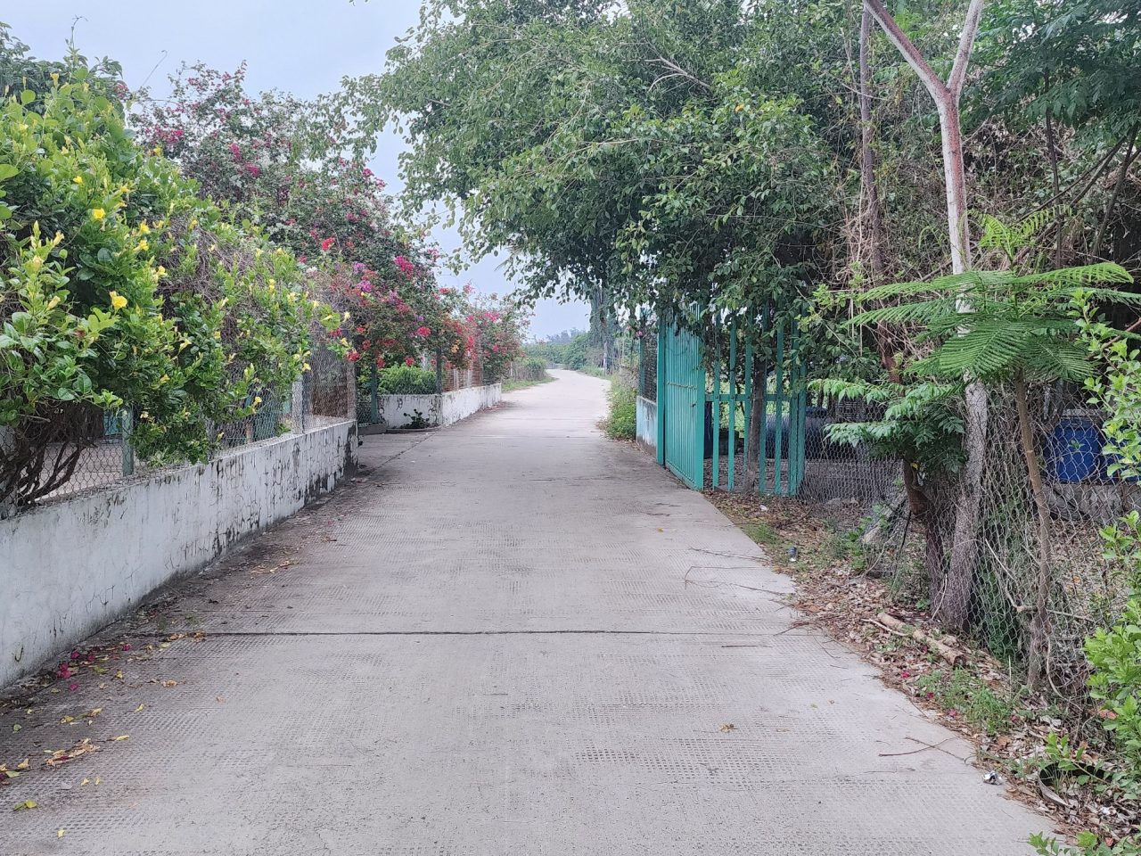 bán đất mặt tiền biển xã long hòa