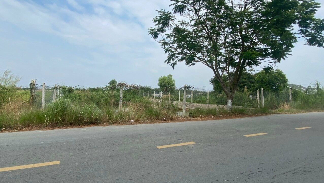 bán đất mặt tiền tam thôn hiệp
