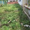 bán đất mặt tiền đường Duyên Hải