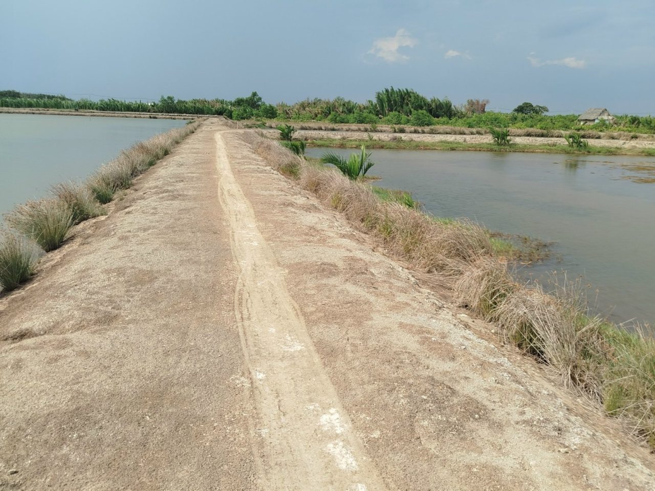 bán đất đường rạch lá