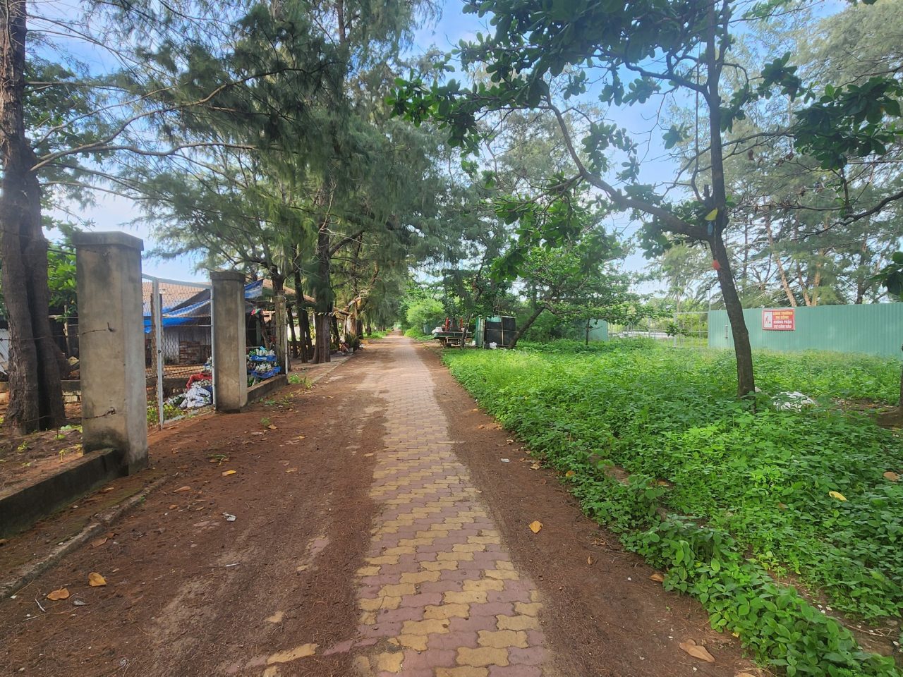 bán đất mặt tiền biển xã long hòa