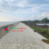 Đất mặt tiền đường Dương Văn Hạnh, mặt sông Soài Rạp, xã Lý Nhơn, diện tích 1203.4 m2