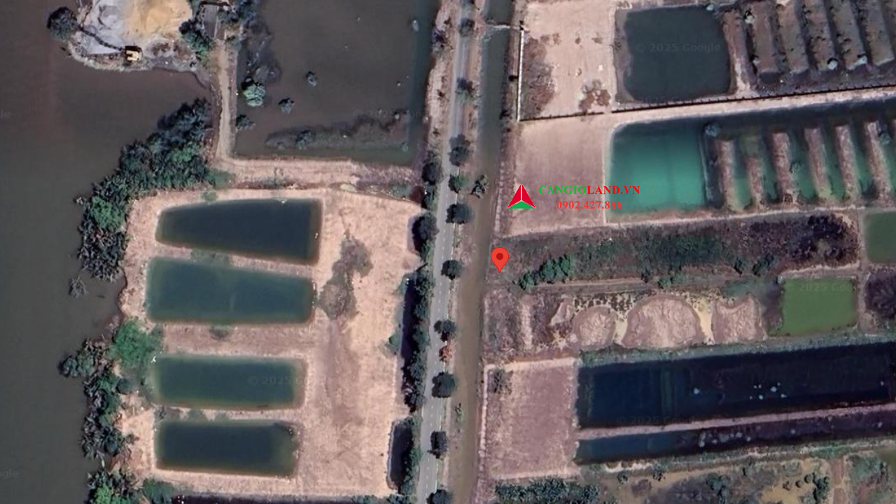 Đất mặt tiền đường Dương Văn Hạnh, view Soài Rạp, xã Lý Nhơn, diện tích 1501 m2